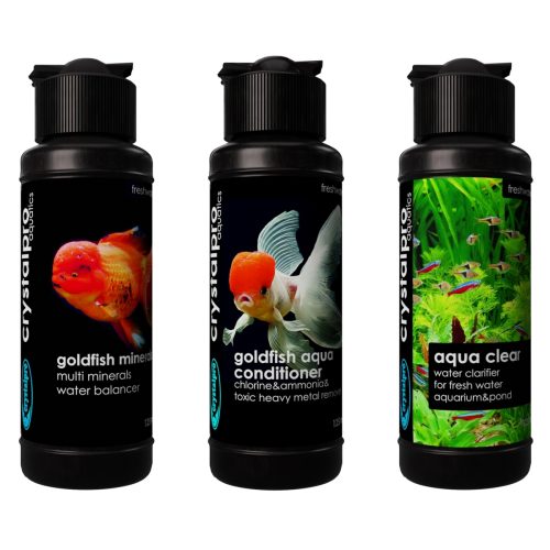 japon balığı bakım