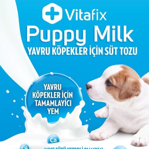 köpek süt