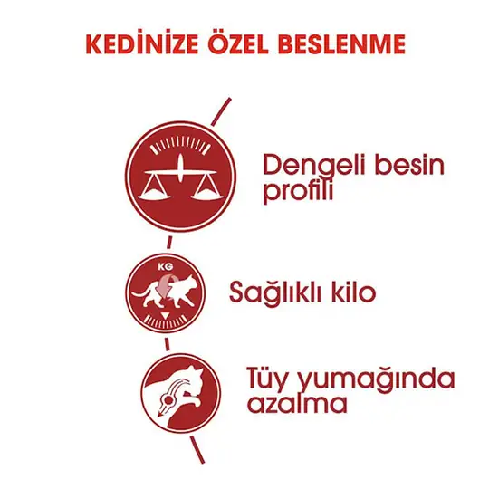 Royal Canin  Fit 32 Yetişkin Kedi Maması 1 kg (Açık Mama)