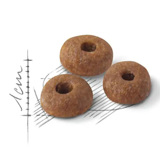 Royal Canin  Fit 32 Yetişkin Kedi Maması 1 kg (Açık Mama)