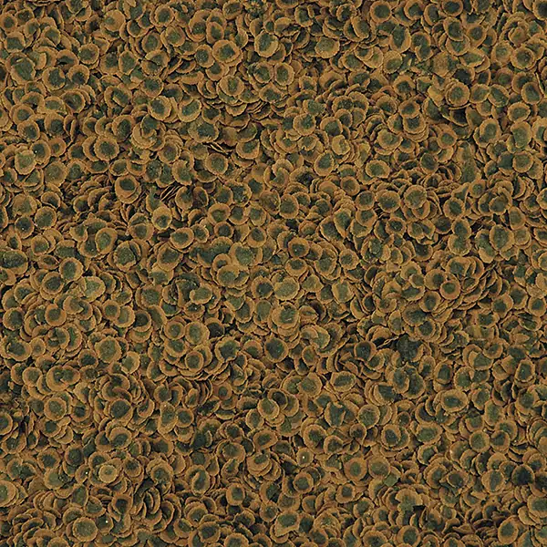 Tetra Tetra Pro Algae Multi-Crisps Balık Yemi 18 gr