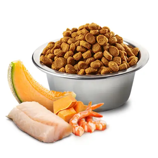 ND Ocean Morina Balığı Bal Kabağı Karides ve Kavunlu Tahılsız Yavru Kedi Maması 1,5 kg