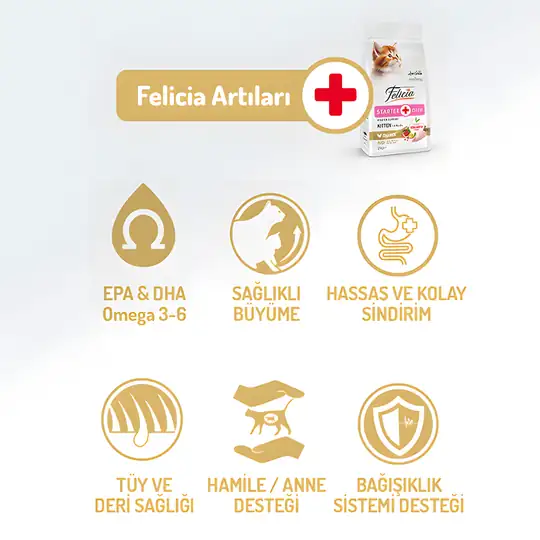 Felicia Az Tahıllı Tavuklu Hypoallergenic Kolajenli Yavru Kedi Maması 2 kg