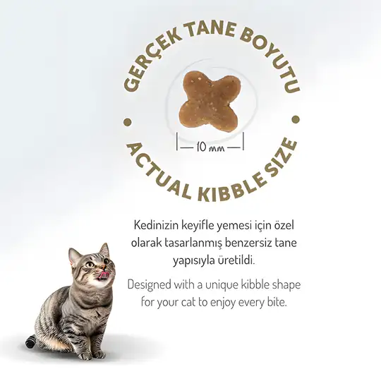 Felicia Az Tahıllı Tavuklu Hypoallergenic Kolajenli Yavru Kedi Maması 2 kg