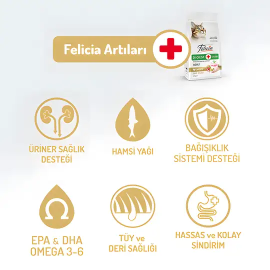 Felicia Az Tahıllı Tavuklu Hypoallergenic Kolajenli Yetişkin Kedi Maması 2 kg
