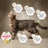 Felicia Az Tahıllı Tavuklu Hypoallergenic Kolajenli Yetişkin Kedi Maması 2 kg