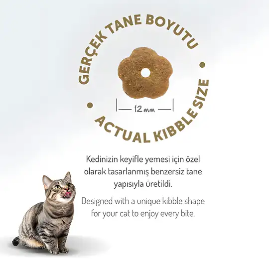 Felicia Az Tahıllı Tavuklu Hypoallergenic Kolajenli Yetişkin Kedi Maması 2 kg