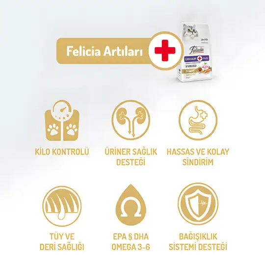 Felicia Az Tahıllı Somon Balıklı Hypoallergenic Kolajenli Kısırlaştırılmış Yetişkin Kedi Maması 2 kg