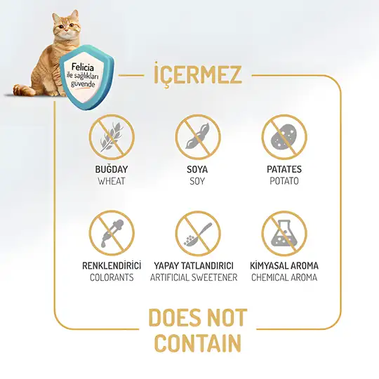 Felicia Az Tahıllı Somon Balıklı Hypoallergenic Kolajenli Kısırlaştırılmış Yetişkin Kedi Maması 2 kg