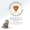 Felicia Az Tahıllı Somon Balıklı Hypoallergenic Kolajenli Kısırlaştırılmış Yetişkin Kedi Maması 2 kg