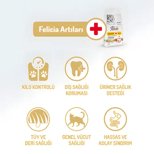 Felicia Kısırlaştırılmış Tavuklu Yetişkin Kedi Maması 2 kg