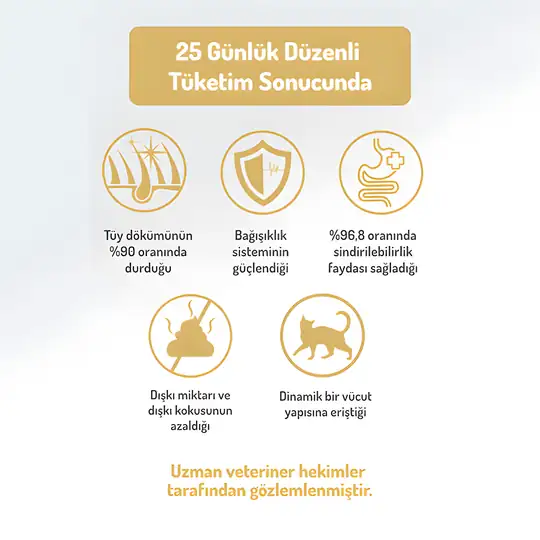 Felicia Kısırlaştırılmış Tavuklu Yetişkin Kedi Maması 2 kg