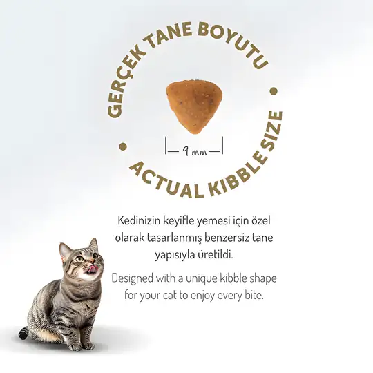 Felicia Kısırlaştırılmış Tavuklu Yetişkin Kedi Maması 2 kg