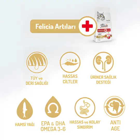 Felicia Az Tahıllı Kuzu Etli Hypoallergenic Kolajenli Yetişkin Kedi Maması 2 kg