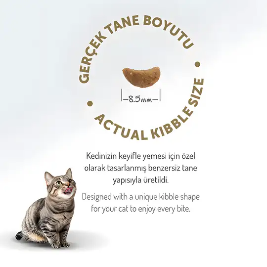 Felicia Az Tahıllı Kuzu Etli Hypoallergenic Kolajenli Yetişkin Kedi Maması 2 kg