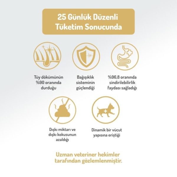 Felicia Hipoalerjenik Somonlu Küçük Irk Düşük Tahıllı Yetişkin Köpek Maması 3 kg