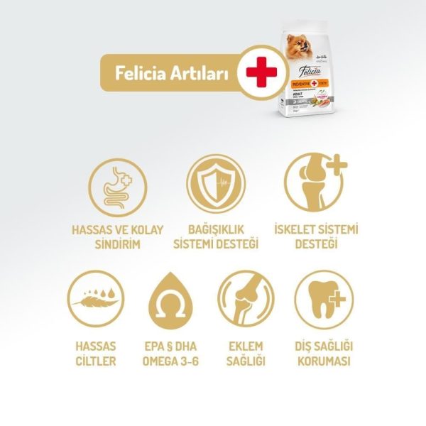Felicia Hipoalerjenik Somonlu Küçük Irk Düşük Tahıllı Yetişkin Köpek Maması 3 kg