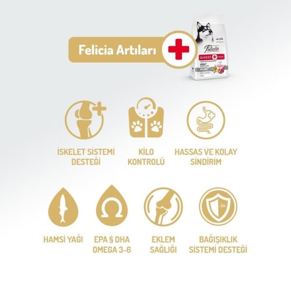 Felicia Kuzu Etli Yetişkin Köpek Maması 3 kg