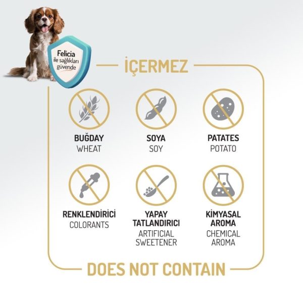 Felicia Small&Mini Düşük Tahıllı Kuzu Etli Küçük Irk Yetişkin Köpek Maması 3 kg