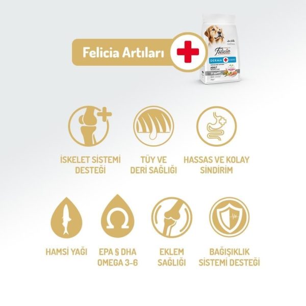 Felicia Somonlu Yetişkin Köpek Maması 3 kg