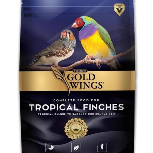 bülbül ve saka yem