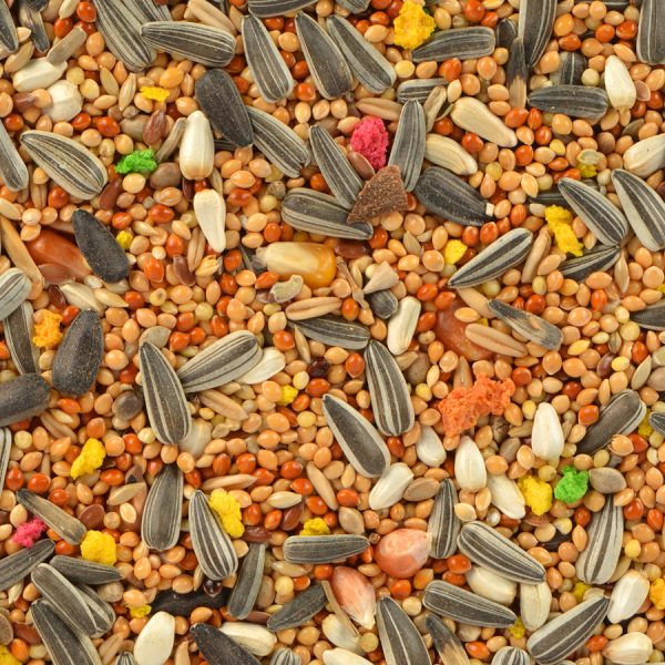 Gold Wings Classics Paraket Yemi 500 gr