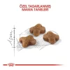 Royal Canin Kitten 36 Yavru Kedi Maması 1 kg (Açık Mama)