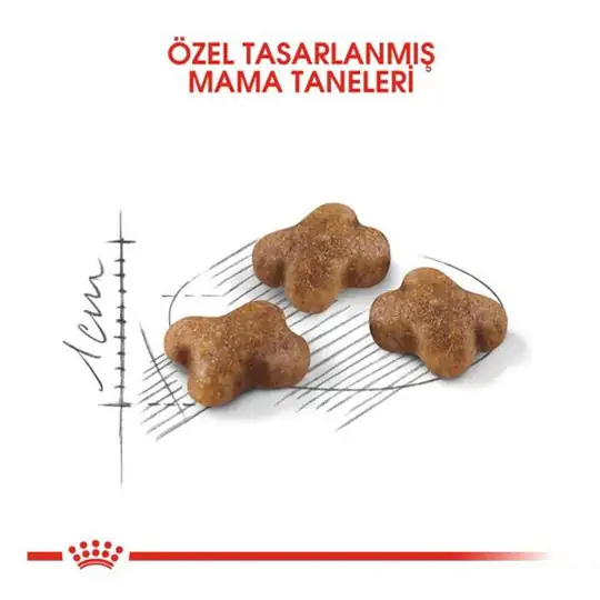 Royal Canin Kitten 36 Yavru Kedi Maması 1 kg (Açık Mama)