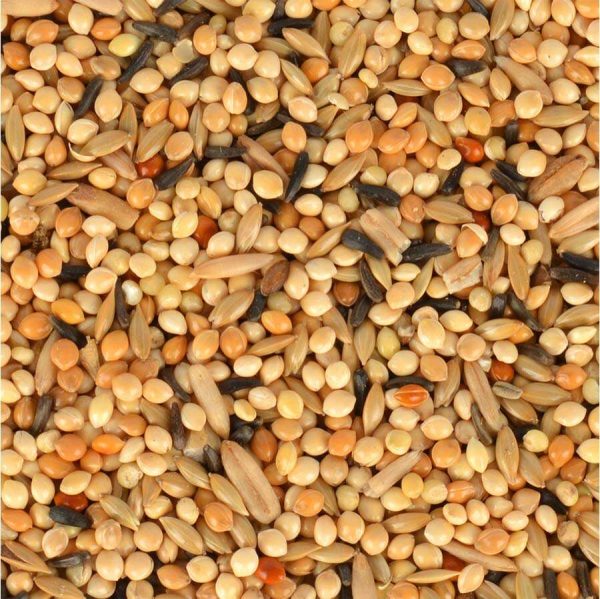 Quik Junior Yavru Muhabbet Kuşu Yemi 400 gr