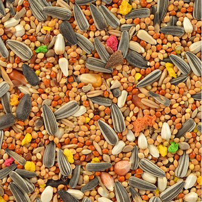 Quik Paraket Yemi 750 gr