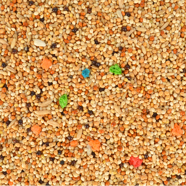 Quik Muhabbet Kuşu Yemi 400+100 gr Hediyeli