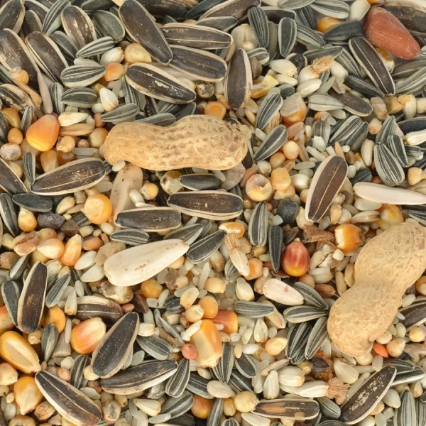 Quik Papağan Yemi 750 gr