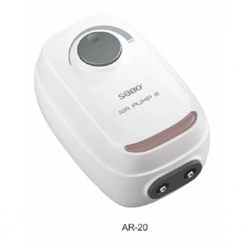 çift çıkışlı hava motoru