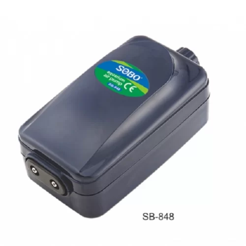 çift çıkışlı hava motoru