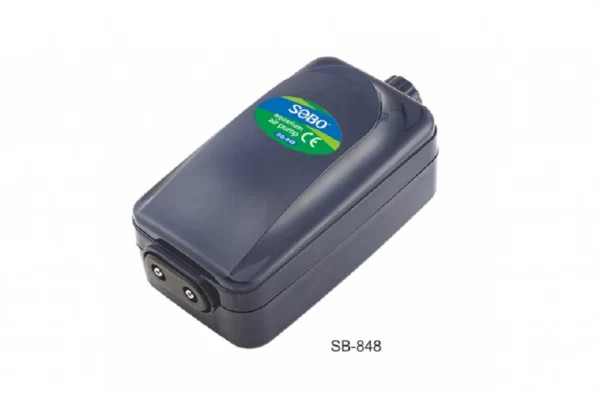 çift çıkışlı hava motoru