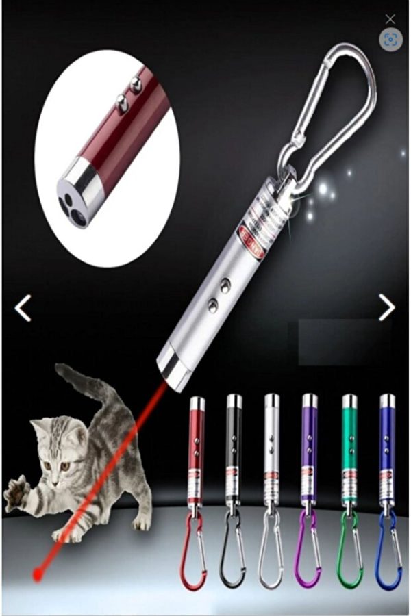 3 Fonksiyonlu Kedi Köpek Lazer Oyuncağı LED Işıklı Anahtarlık