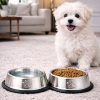PawX Devrilmez Kaydırmaz Taban Paslanmaz Çelik Kedi Köpek Su ve Mama Kabı 18 cm