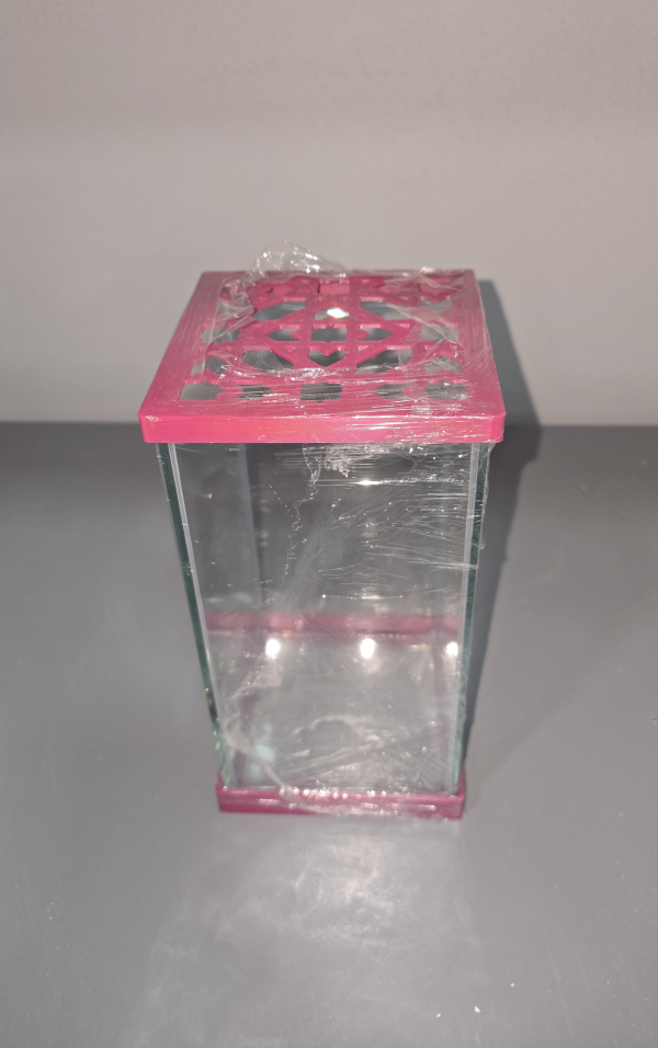 Dikey Beta Akvaryumu Karışık Renkli 10x10x20 cm