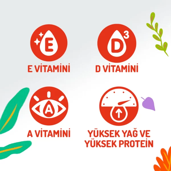 Jungle Dana Etli Köpek Ödül Çubukları 3x10 gr