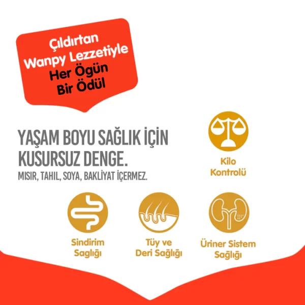 Wanpy Tahılsız Somonlu Yetişkin Kedi Maması 1,5 kg