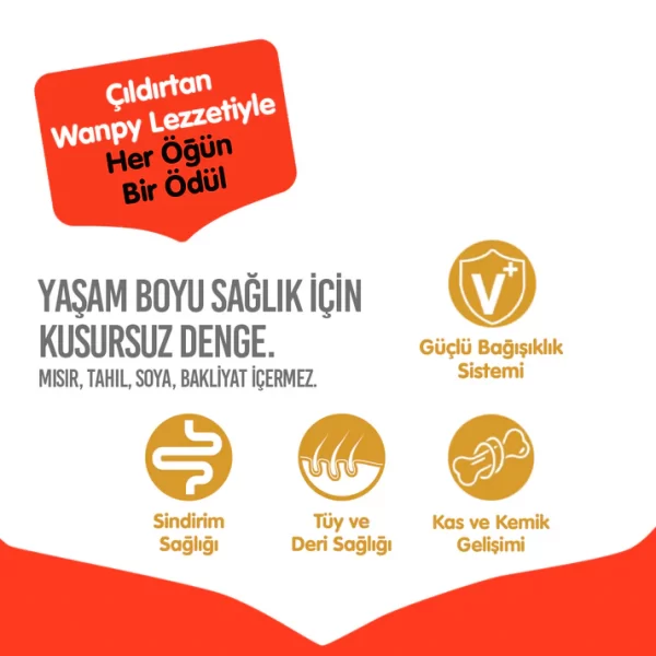 Wanpy Tahılsız Sığır Etli Yetişkin Köpek Maması 1,5 kg