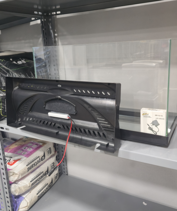 50 cm Siyah Renkli Led Işıklı Akvaryum 50x20x33