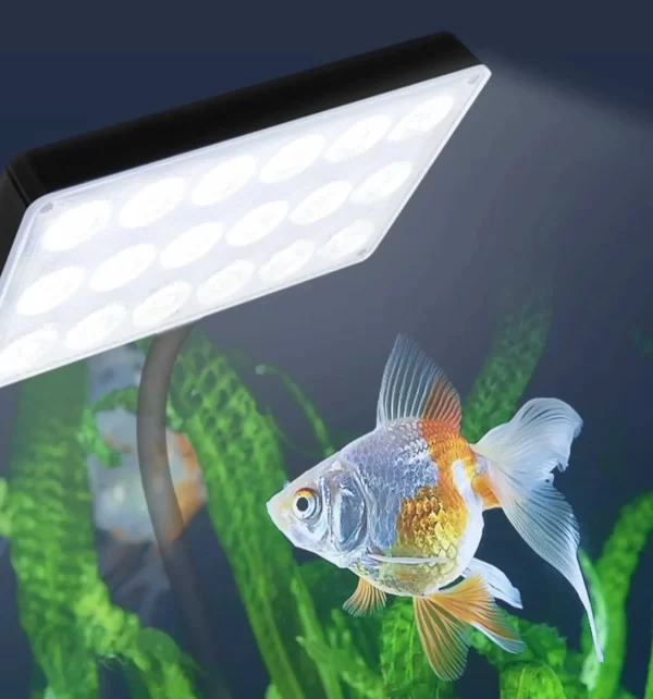 akvaryum aydınlatma