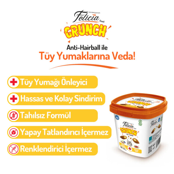 Felicia Hairball Crunch Tahılsız Kedi Ödül Maması 100 gr