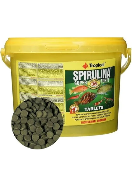 Tropical Spirulina Super Forte Tablets Cama Yapışan Balık Yemi 50 Adet Kovadan Bölme
