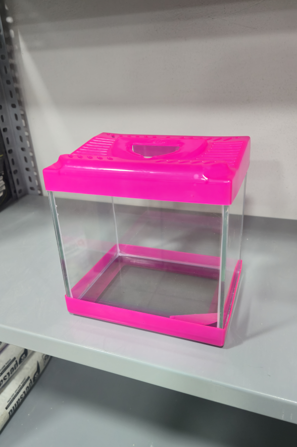 Kare Mini Akvaryum Karışık Renkli  20x15x20 cm