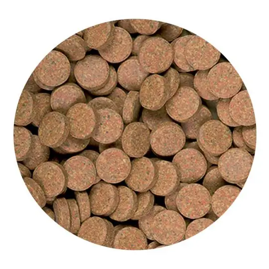 Tropical Supervit Tablets A Cama Yapışan Balık Yemi 50 Adet Kovadan Bölme