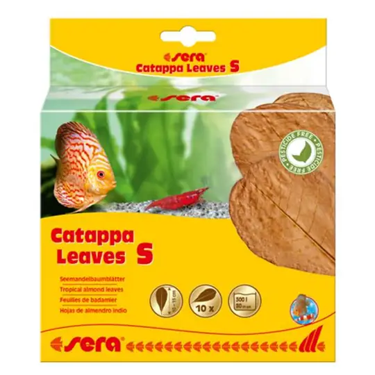 catappa
