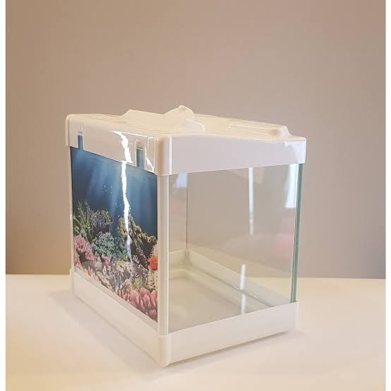 Kare Mini Akvaryum  Çift Arka Fonlu Karışık Renkli  20x15x20 cm