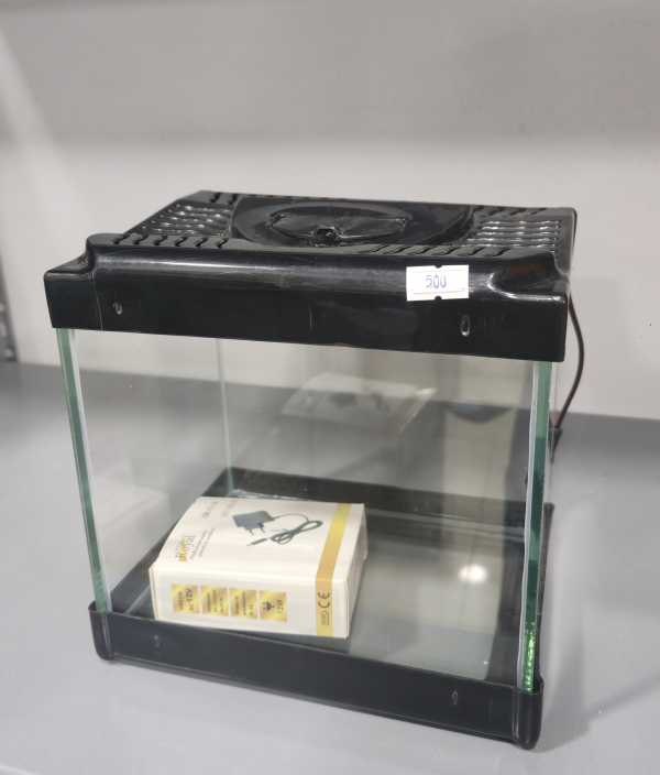 Kare Mini Akvaryum Led Işıklı  Karışık Renkli 20x15x20 cm